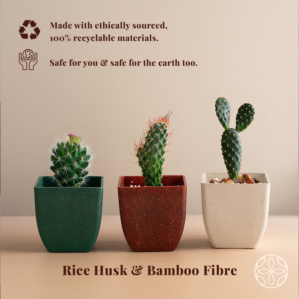 Irida Naturals Rice Husk and Bamboo Fiber Sakura Pot and Planter - 4"- Set of 2
