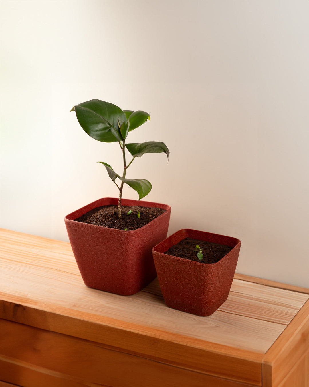 Irida Naturals Rice Husk and Bamboo Fiber Sakura Pot and Planter - 7"- Set of 2