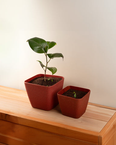 Irida Naturals Rice Husk and Bamboo Fiber Sakura Pot and Planter - 7