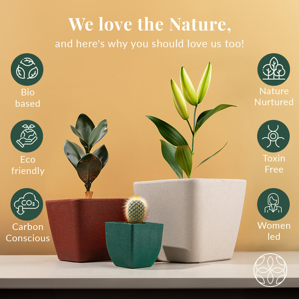 Irida Naturals Rice Husk and Bamboo Fiber Sakura Pot and Planter - 7"- Set of 2