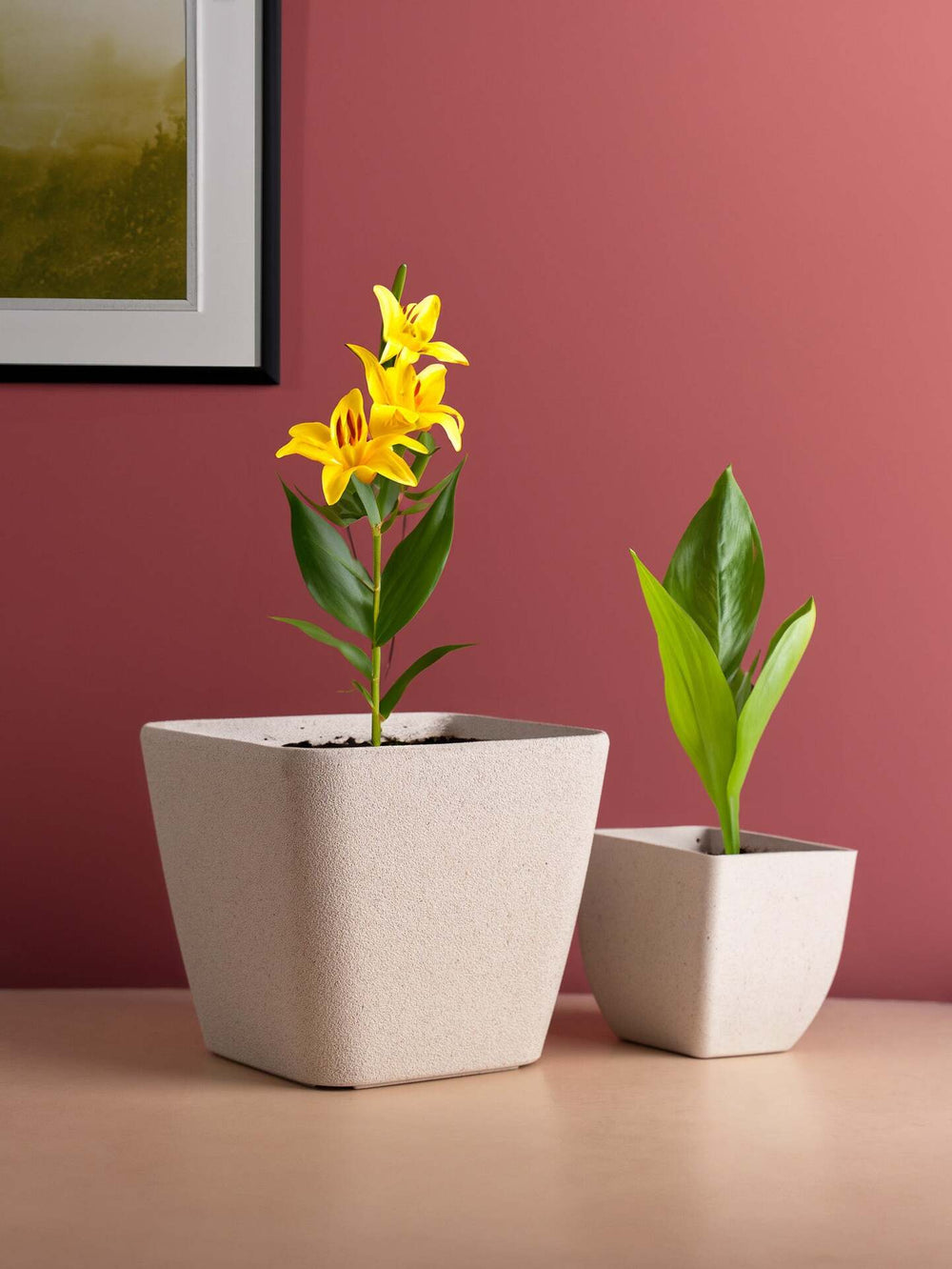 Irida Naturals Rice Husk and Bamboo Fiber Sakura Pot and Planter - 9