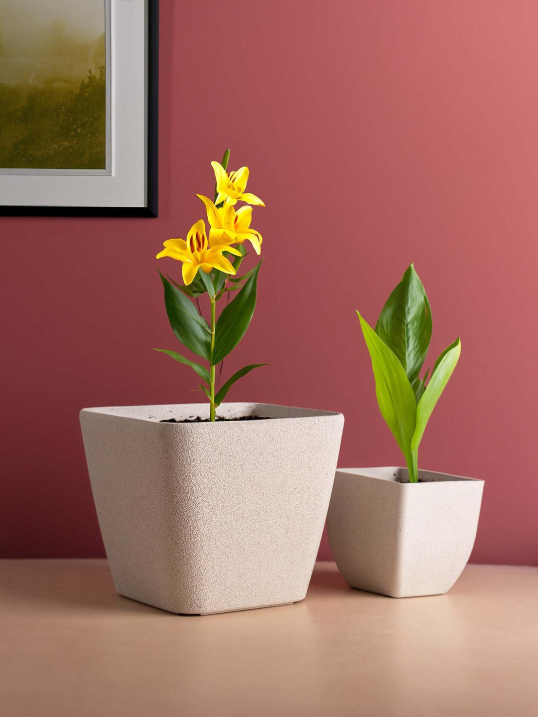 Irida Naturals Rice Husk and Bamboo Fiber Sakura Pot and Planter - 9"- Set of 2