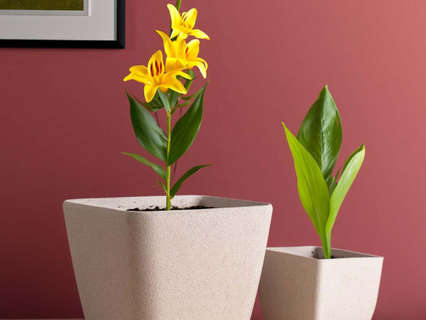 Irida Naturals Rice Husk and Bamboo Fiber Sakura Pot and Planter - 9"- Set of 2