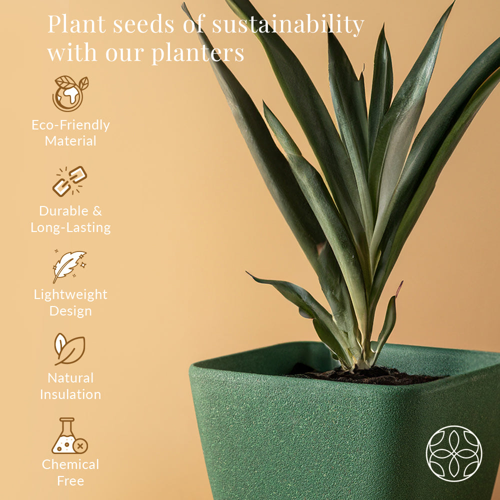 Irida Naturals Rice Husk and Bamboo Fiber Sakura Pot and Planter - 9"- Set of 2