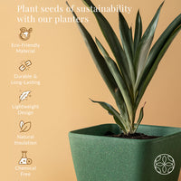 Irida Naturals Rice Husk and Bamboo Fiber Sakura Pot and Planter - 9