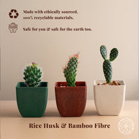 Irida Naturals Rice Husk and Bamboo Fiber Sakura Pot and Planter - 9