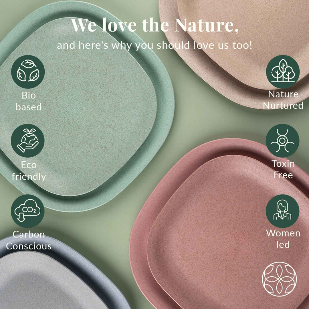 Rice husk And Bamboo Fiber Dinner Plates 11