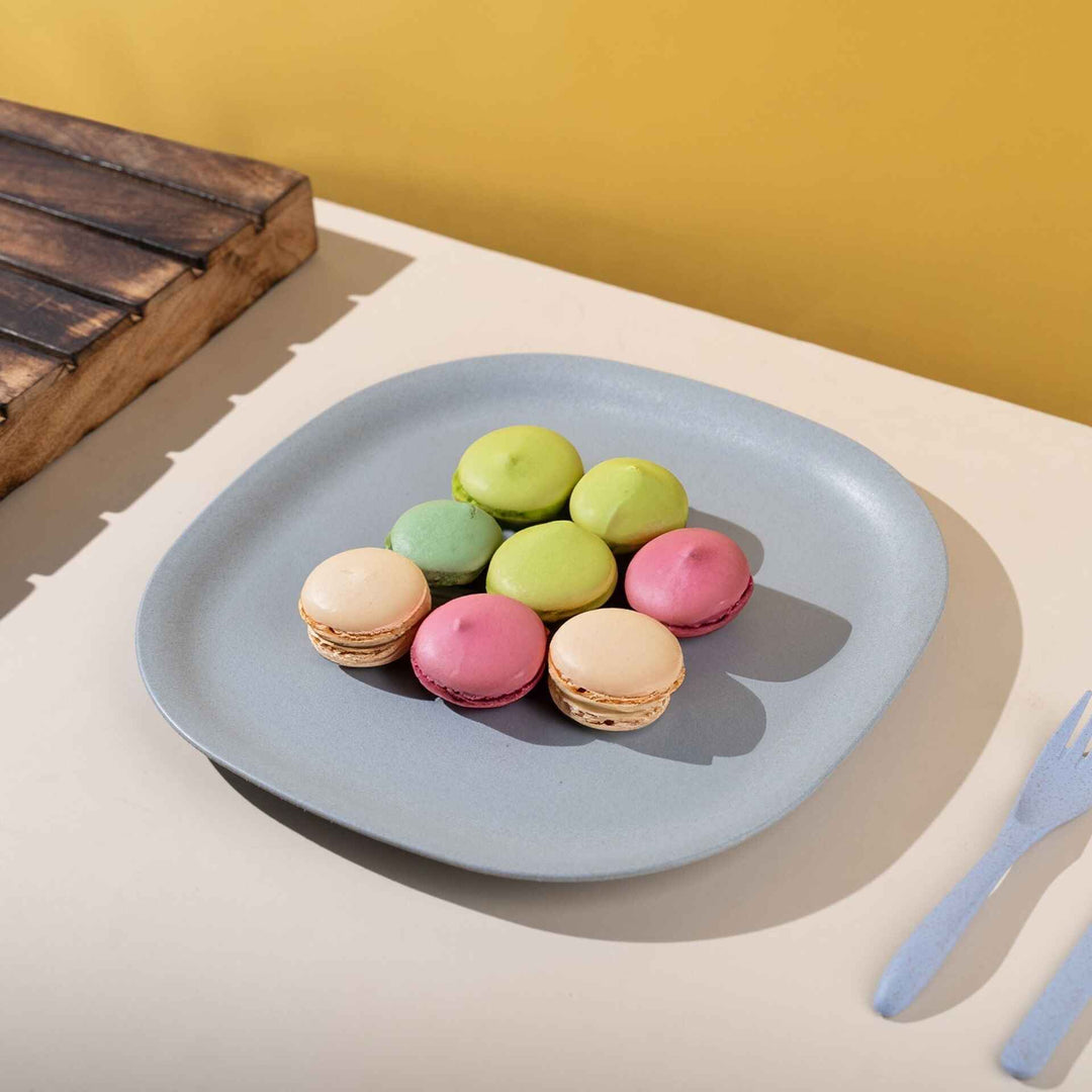 Irida Naturals Rice husk And Bamboo Fiber Dinner Plates 9 "