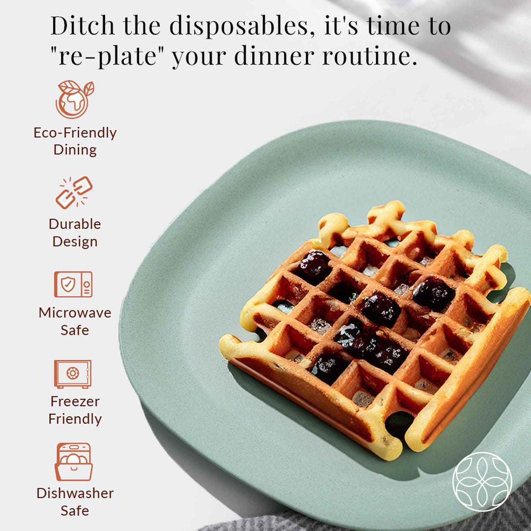 Irida Naturals Rice husk And Bamboo Fiber Dinner Plates 9 "