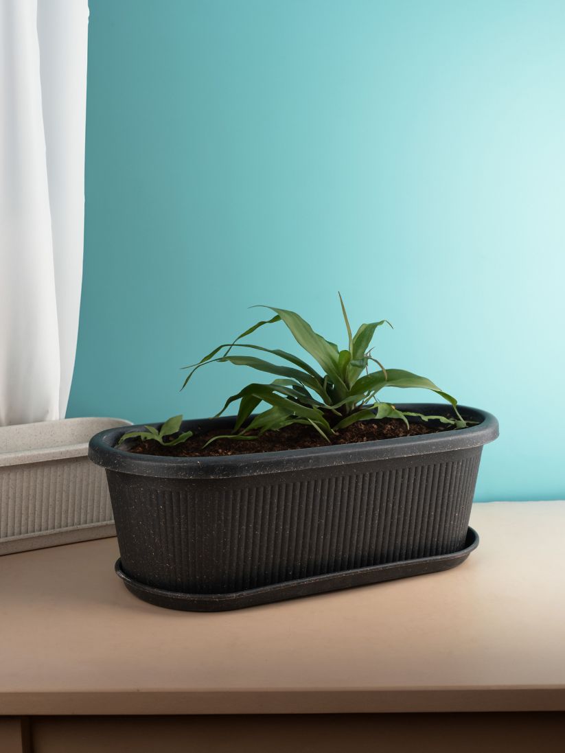 Irida Naturals Rose Planter MID 12" Set of 2