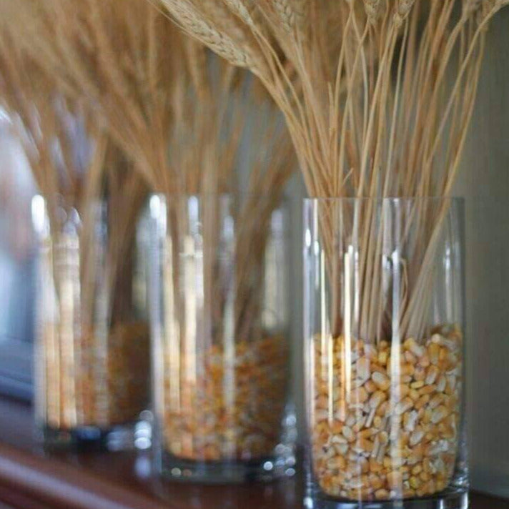 Natural Wheat Grass Dried Flowers Set of 30 | Vase Filler Home Decor
