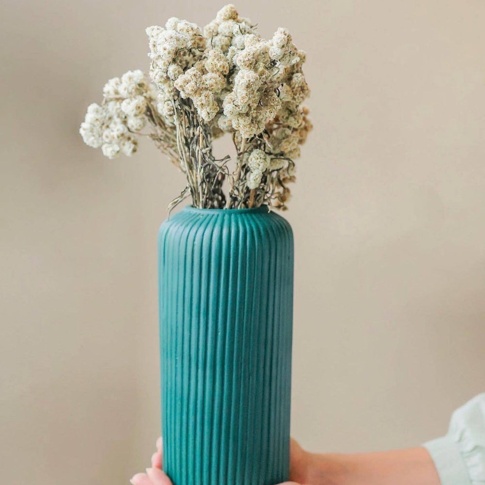 White Daisies Dried Flowers | Aesthetic Decor