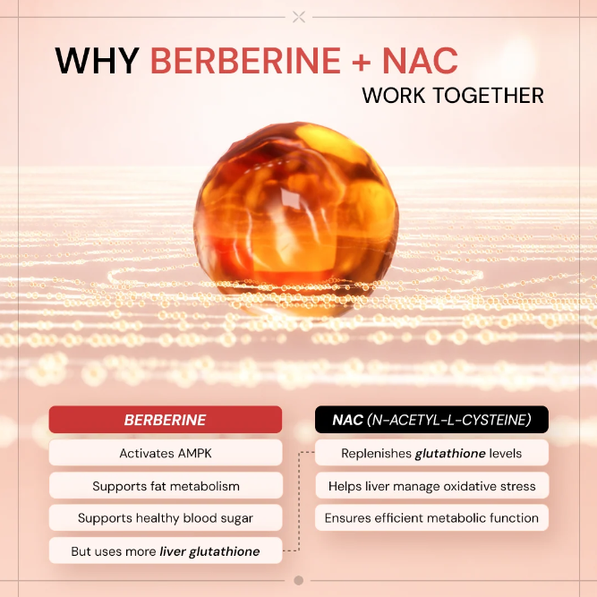 Ace Blend Bio Berberine + NAC