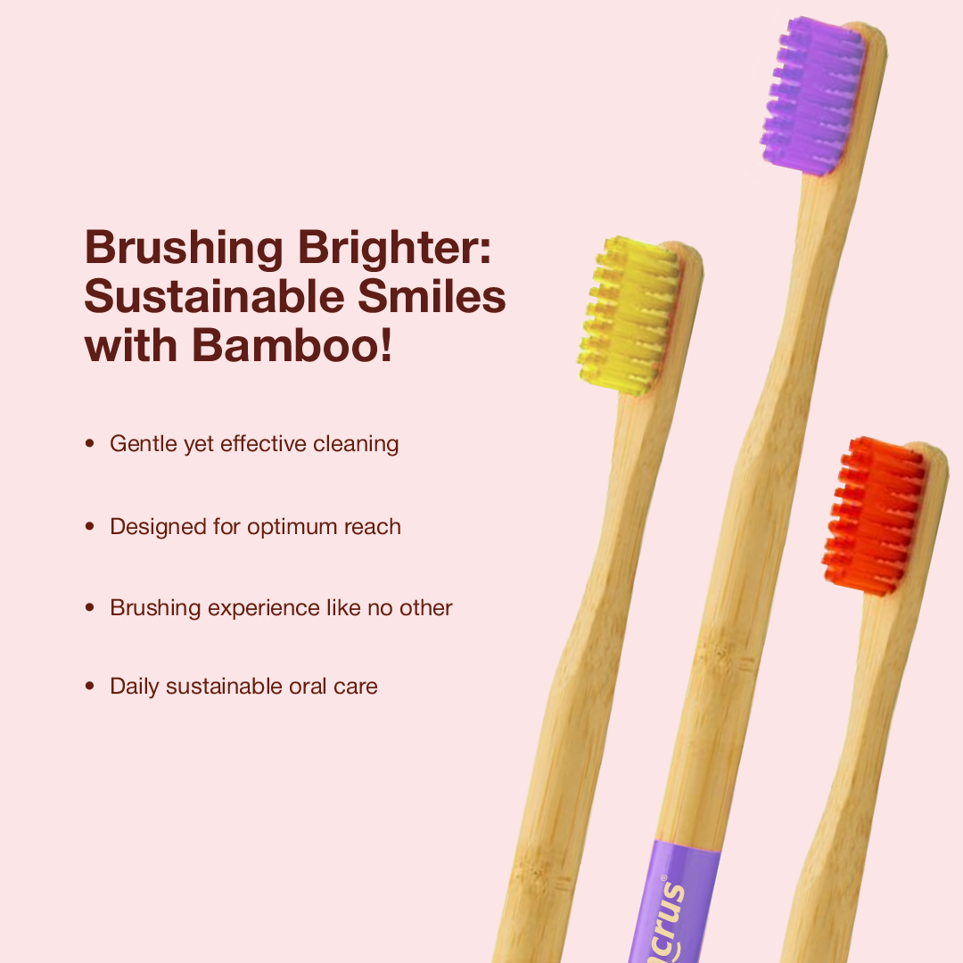 Dencrus Orby Plus Bamboo Toothbrush - Lavender, Yellow & Red (Pack of 3)