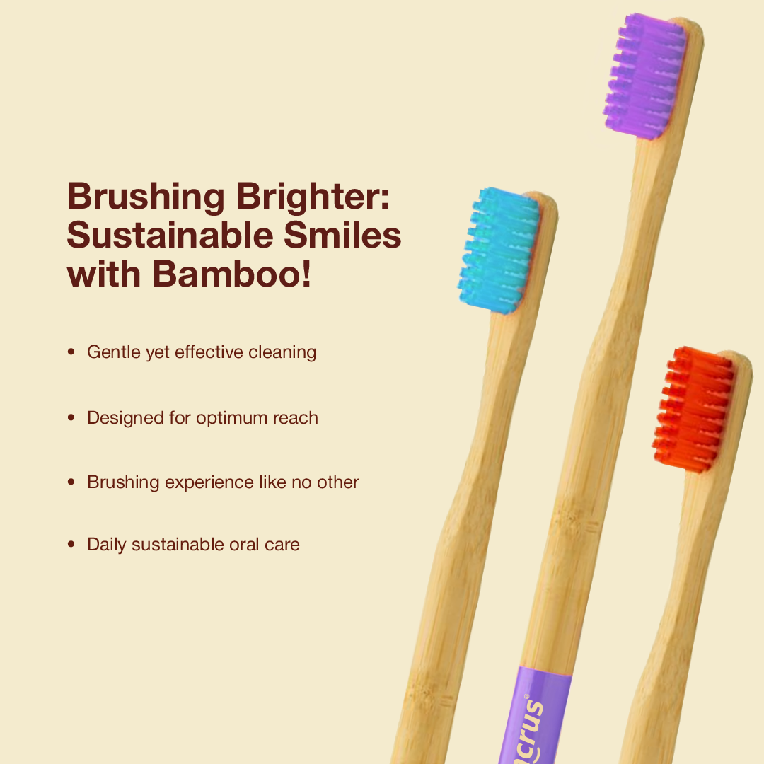 Dencrus Orby Plus Bamboo Toothbrush - Red, Pink, Lavender & Blue (Pack of 4)
