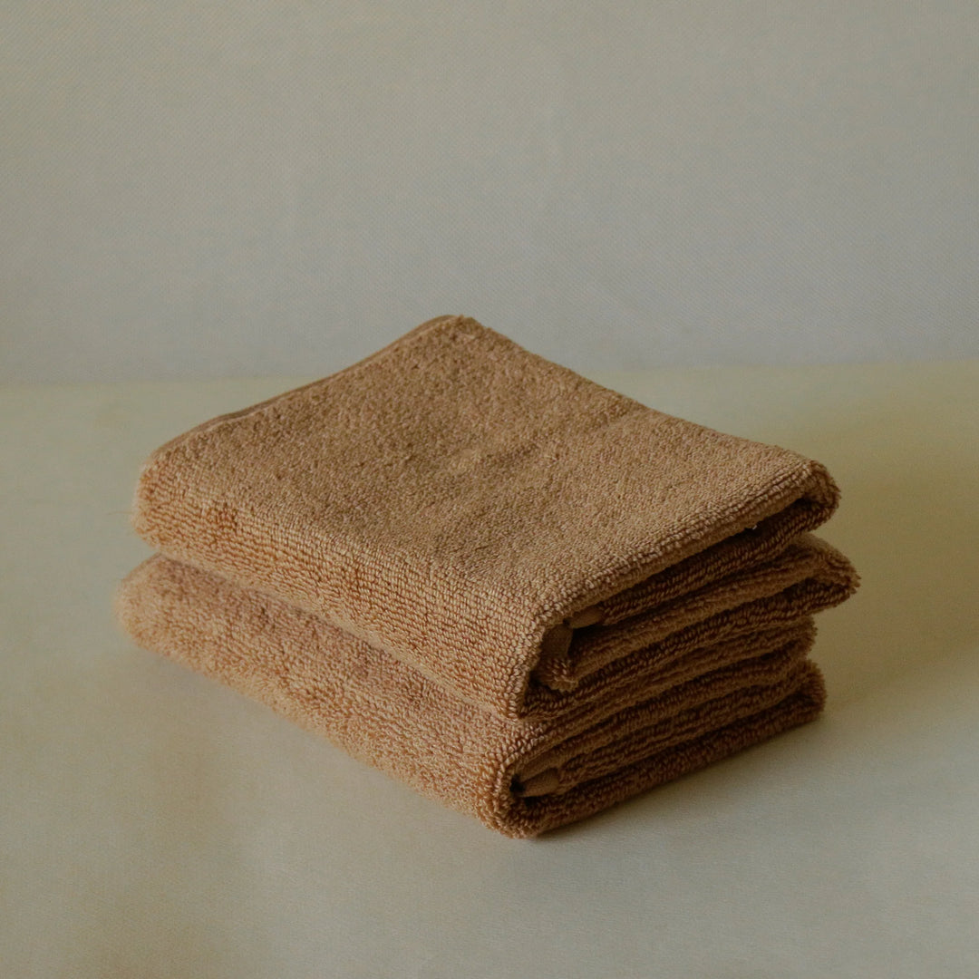 Akiiko Soft Terry Hand Towels (Pack of 2)