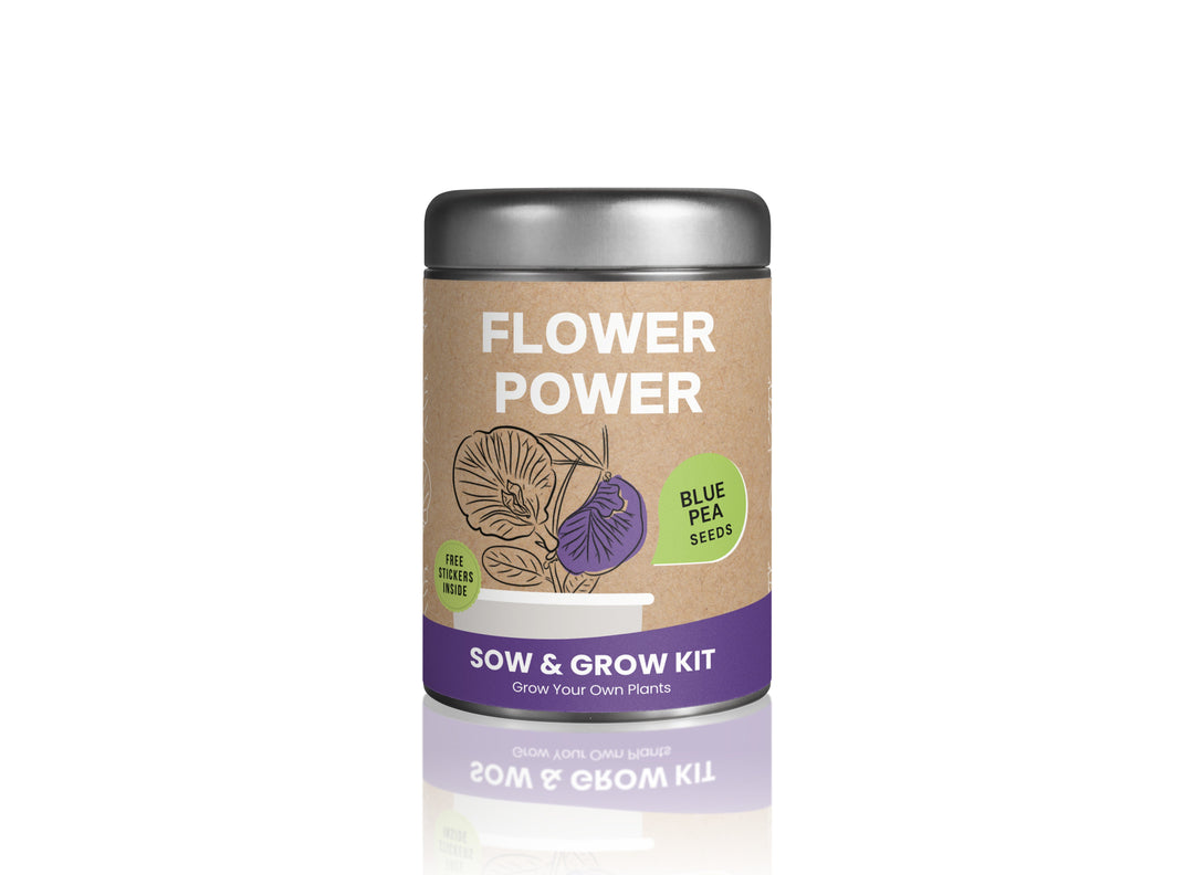 Sow & Grow Kit (Mini) - Blue Pea