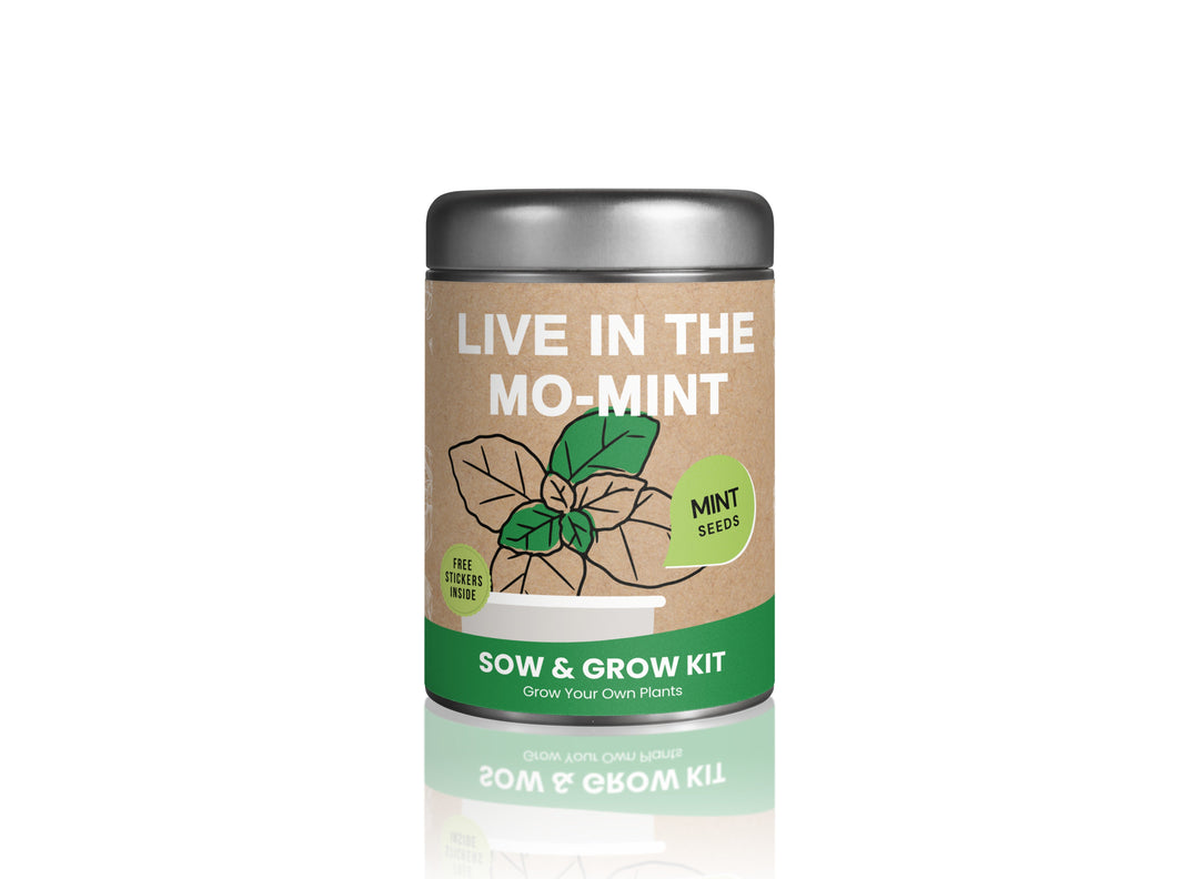 Sow & Grow Kit (Mini) - Mint