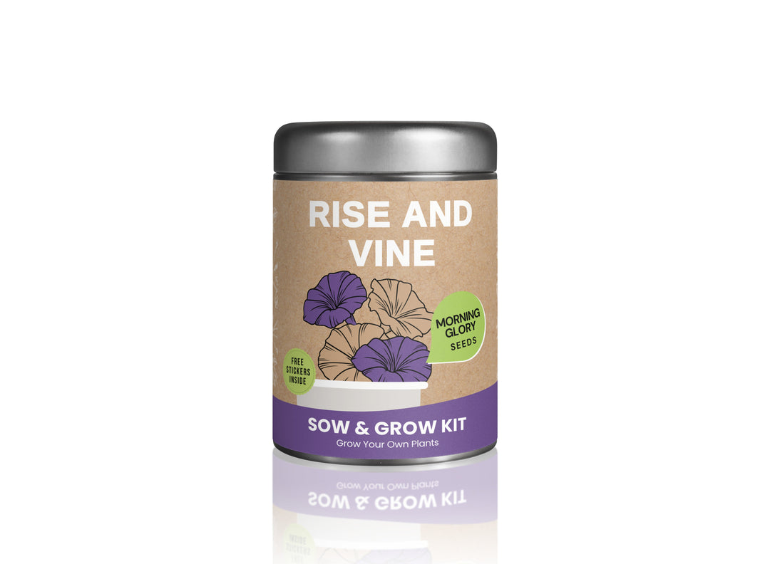 Sow & Grow Kit (Mini) - Morning Glory