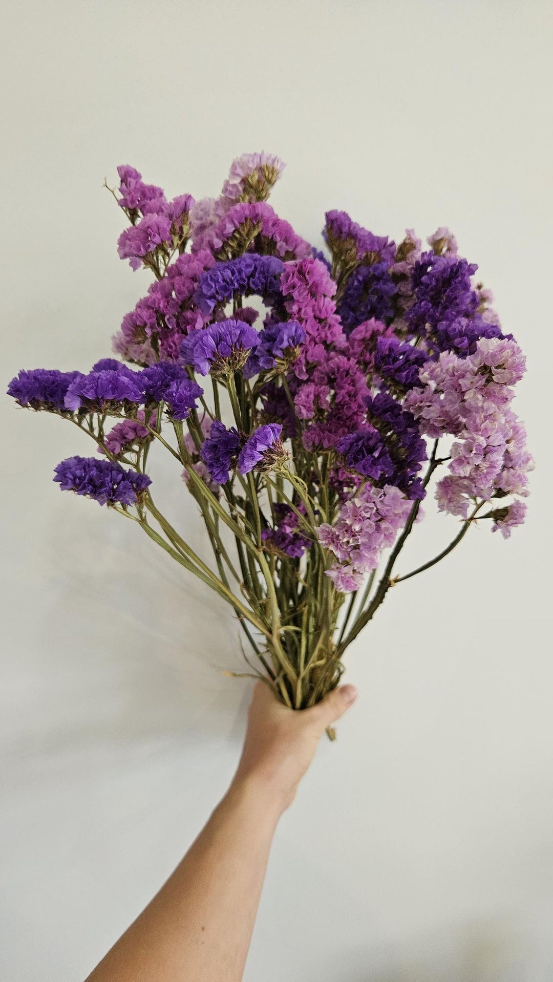 Statice Bunch Dried Flowers | Decorative Vase Filler | ArteCasa