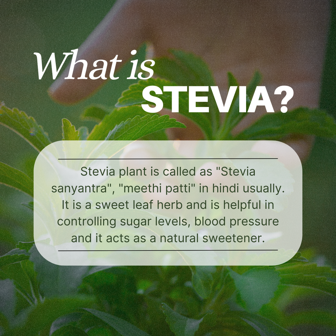 Stevaya Stevia Based Natural Sweetener - 400 Grams | Zero Calorie Sugar Substitute | Ideal for Beverages and Baking