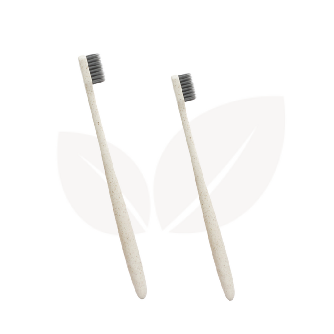 Climasoul Wheat Straw Toothbrush - Pack of 2
