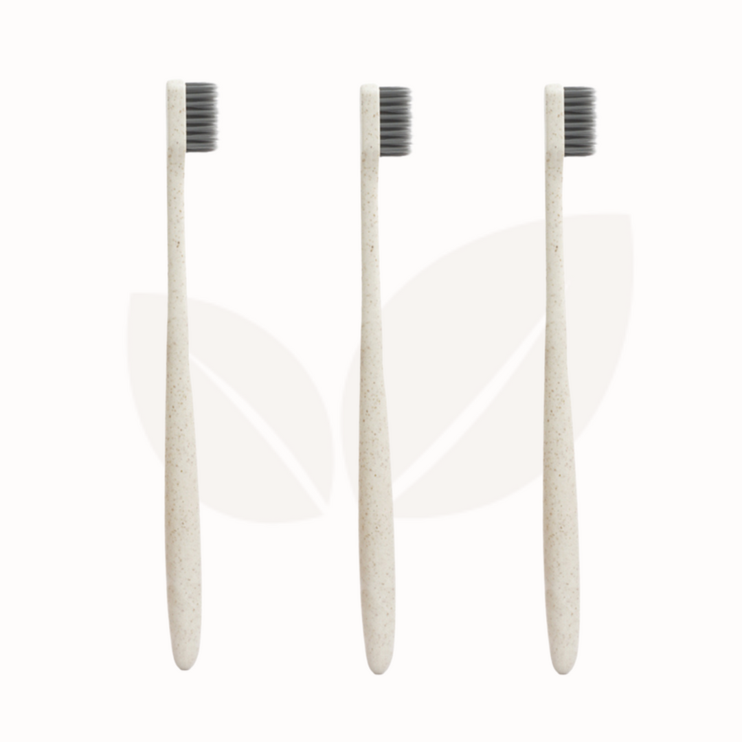 Climasoul Wheat Straw Toothbrush - Pack of 3