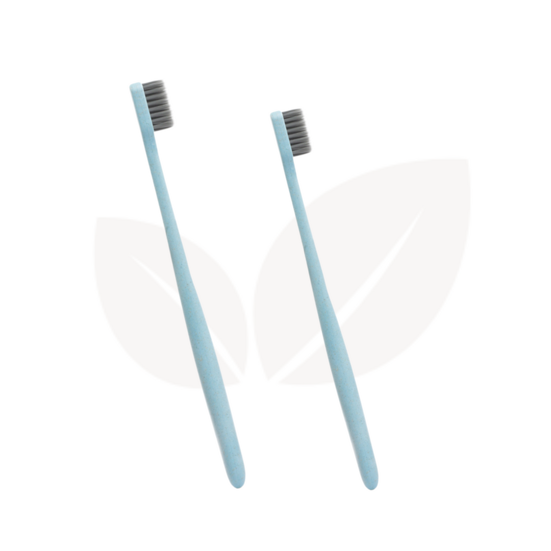 Climasoul Wheat Straw Toothbrush - Pack of 2