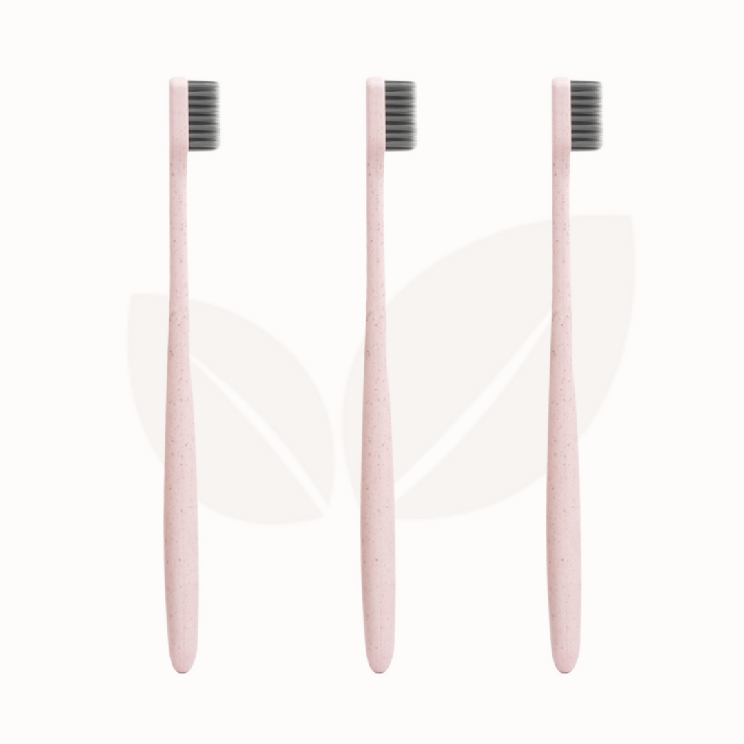 Climasoul Wheat Straw Toothbrush - Pack of 3