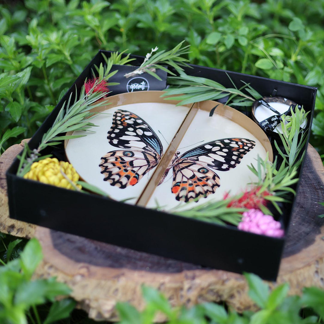 Goomti Symphony Wings - The Butterfly Tray