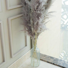 Imported Charcoal Pampas XL Set of 5 Stems for Home Decor | Arte Casa