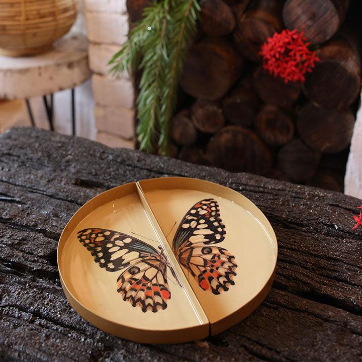 Goomti Symphony Wings - The Butterfly Tray
