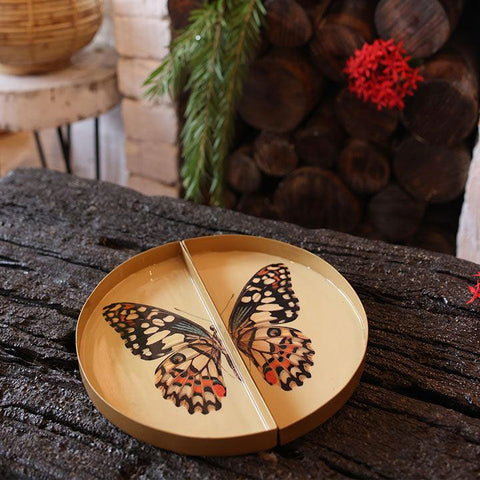 Goomti Symphony Wings - The Butterfly Tray