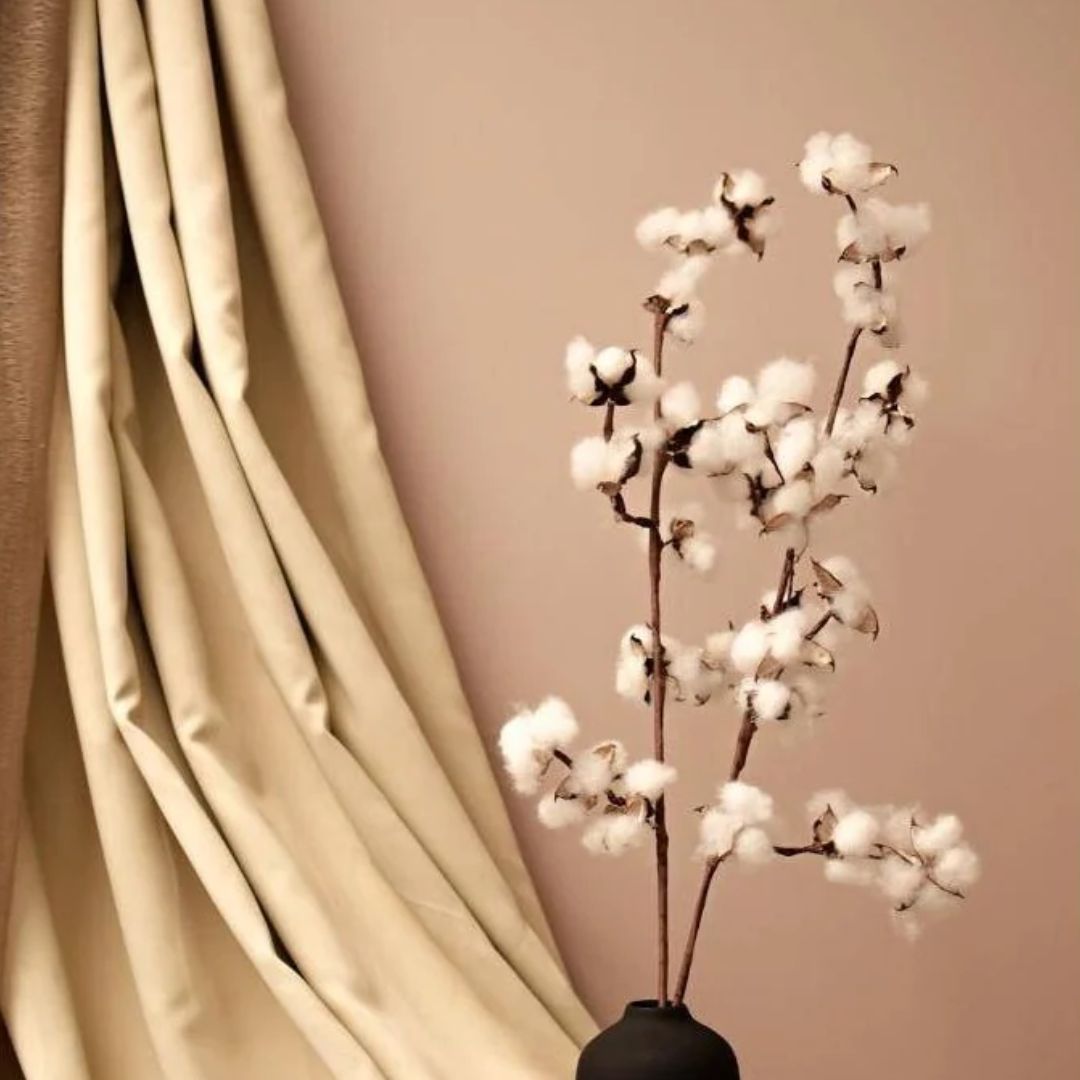Natural Dried Cotton Stems – Set of 5 | 40 cm