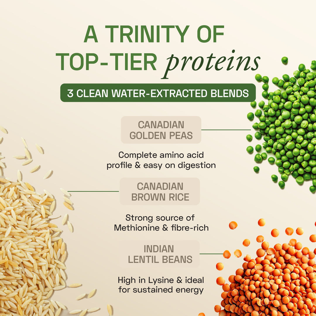 Ace Blend Plant Protein Complex