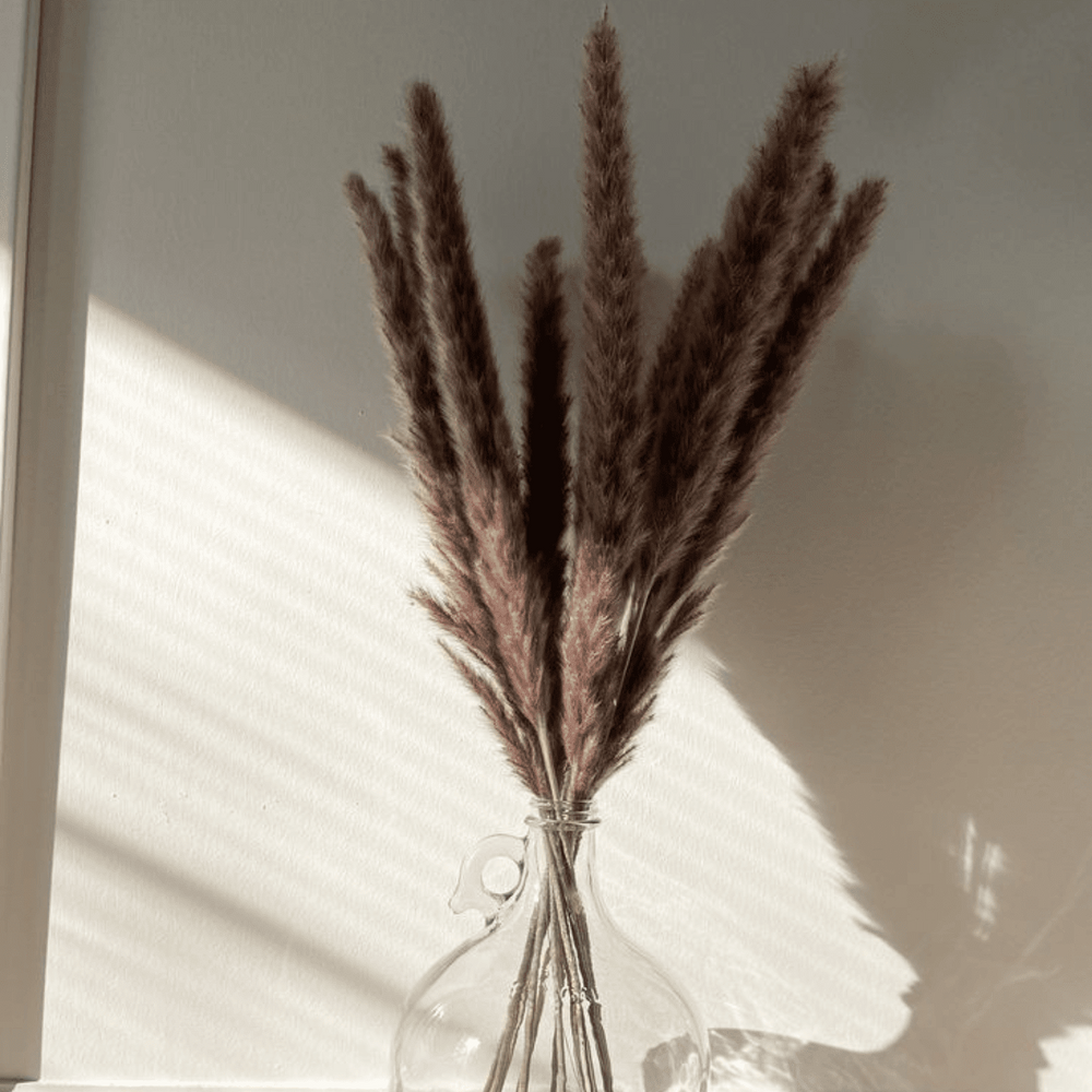 Mini Brown Pampas Grass Set of 10 | Dried flowers Pampas for Vase Decor