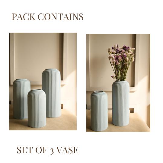 Modern Ribbed vase set of 3 - https://artecasa.in/