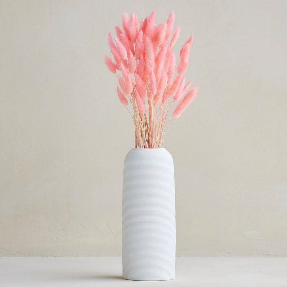 Premium Pink Bunny Tails Dried Flowers – Decorative Vase Filler 50 stems  | ArteCasa
