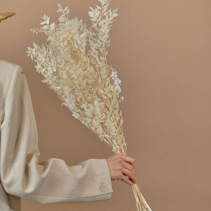 White Ruscus Dried Flowers Leaves for Vase | Natural Dried Greenery