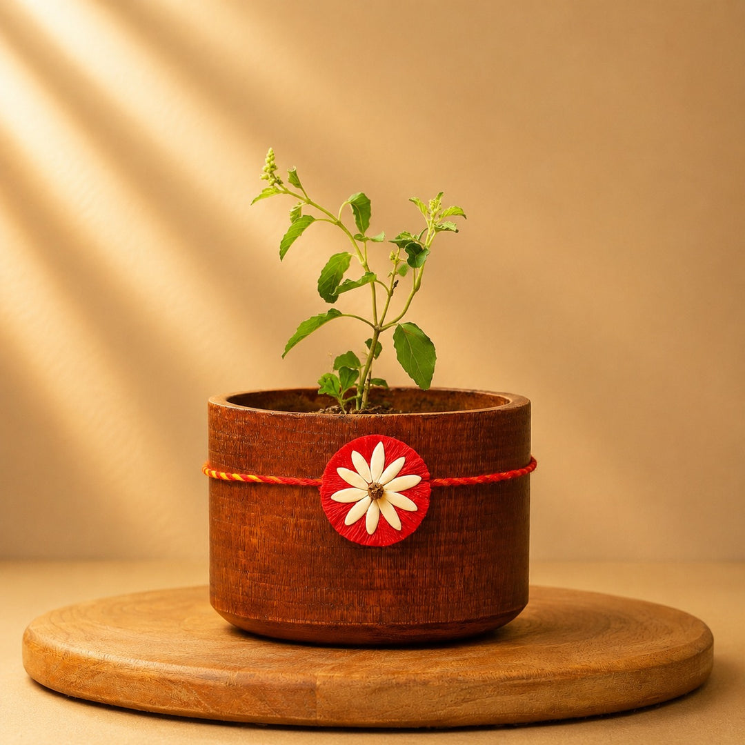 Beejbandhan Plantable Sibling Rakhi Box | Eco-Friendly | Biodegradable | Handmade in Banaras | Grows Into Plant
