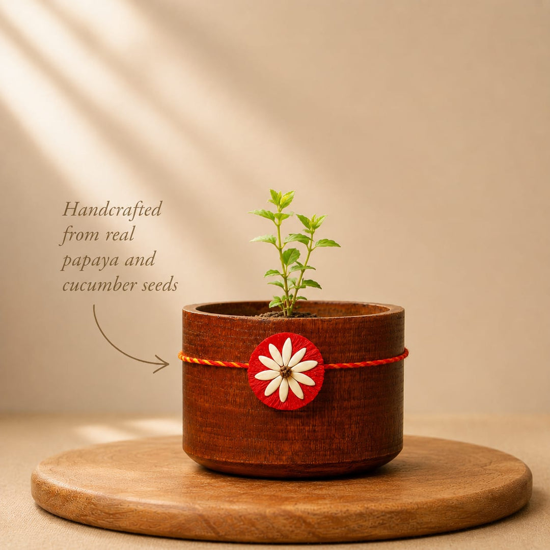 Beejbandhan Plantable Sibling Rakhi Box | Eco-Friendly | Biodegradable | Handmade in Banaras | Grows Into Plant