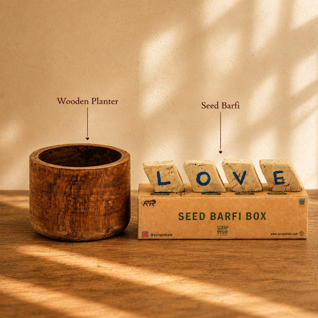 Nazarbattu Bhaiya Bhabhi Grow Box | Eco-Friendly Plantable Rakhi Gift Hamper 2026 | Sustainable Rakhi Lumba Set with Seeds & Planter