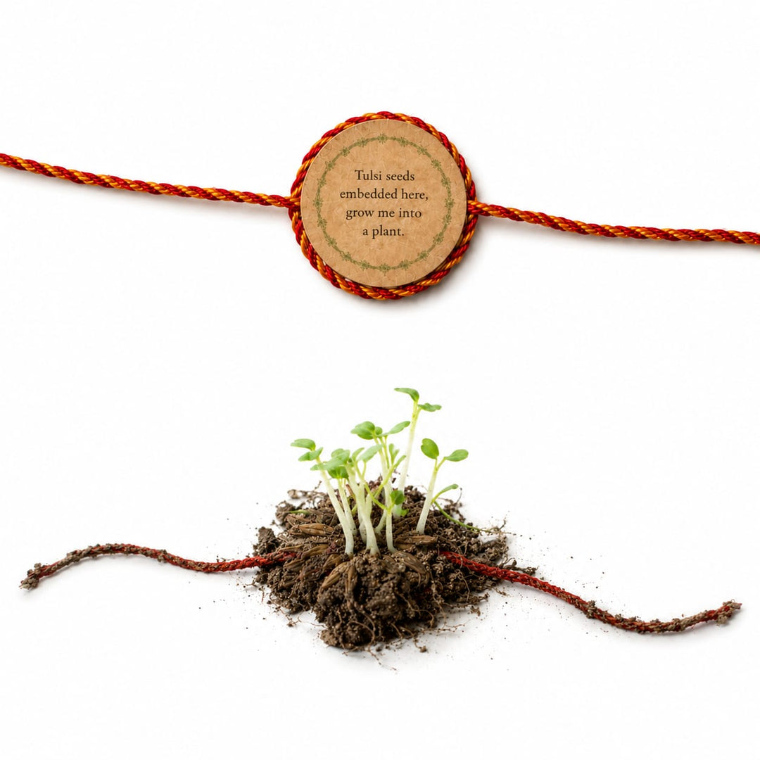 Sneh Plantable Rakhi | Eco-Friendly Handmade Rakhi with Seeds | Sustainable Rakshabandhan 2025 | Scrapshala