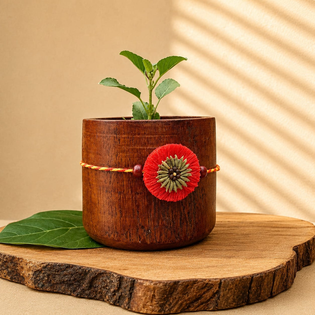 Kanika Plantable Rakhi | Eco-Friendly Seed Rakhi Handmade with Mustard & Fennel Seeds | Scrapshala