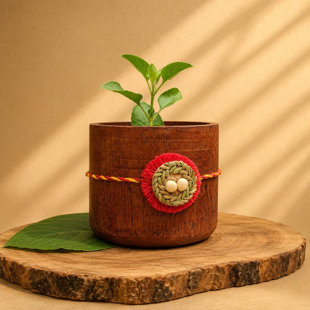 Basera Plantable Rakhi | Inspired from Bird&