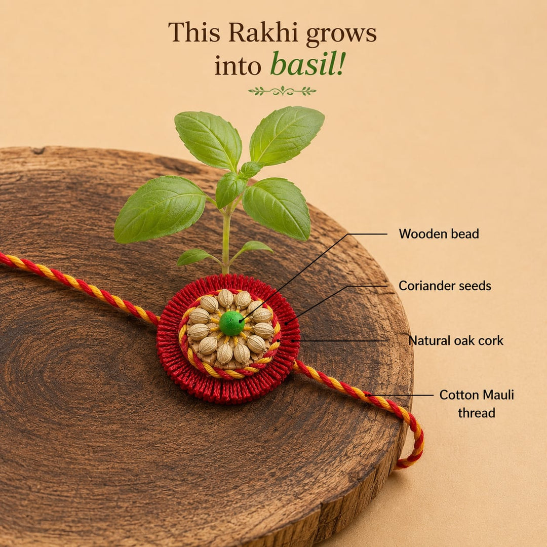 Sneh Plantable Rakhi | Eco-Friendly Handmade Rakhi with Seeds | Sustainable Rakshabandhan 2025 | Scrapshala