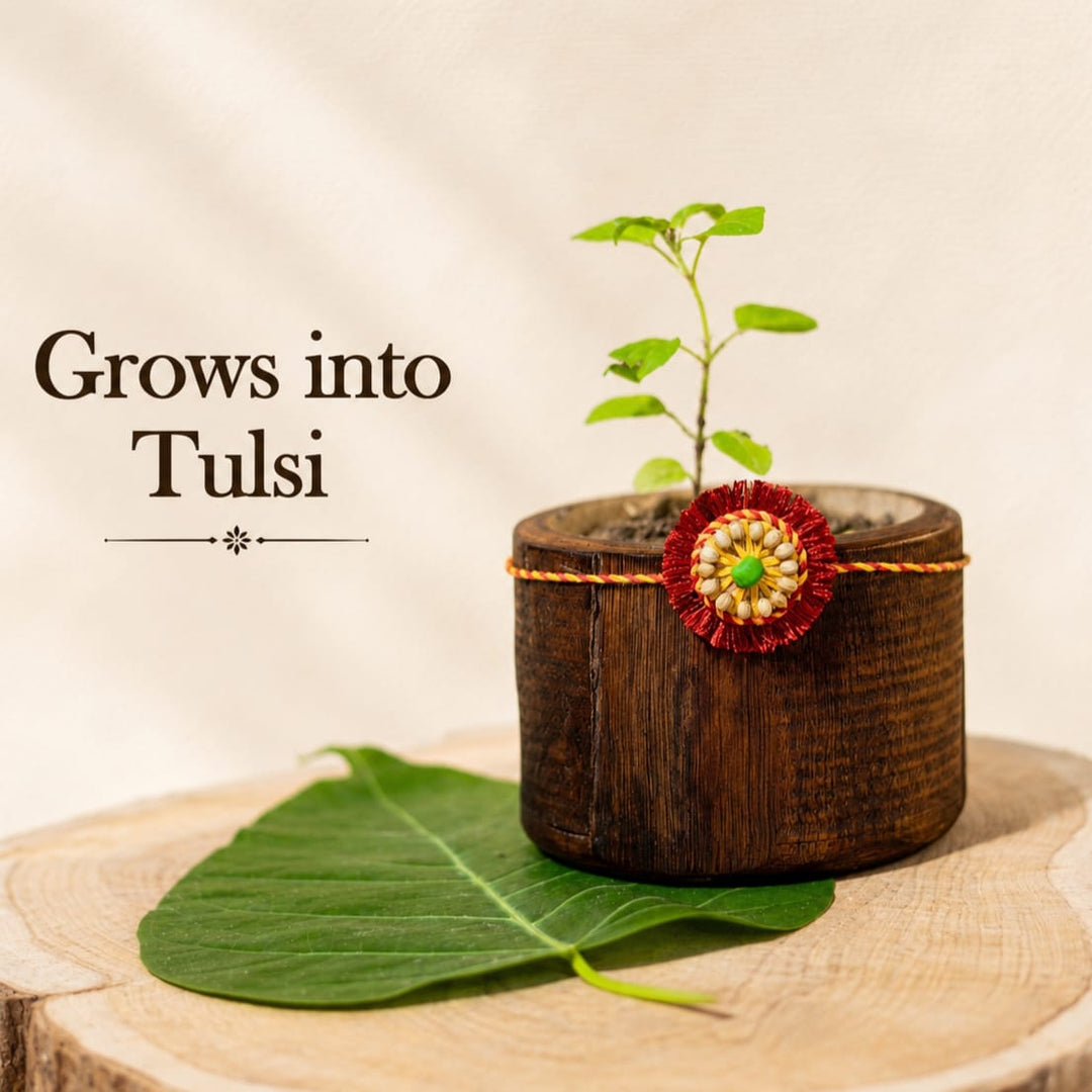 Sneh Plantable Rakhi | Eco-Friendly Handmade Rakhi with Seeds | Sustainable Rakshabandhan 2025 | Scrapshala