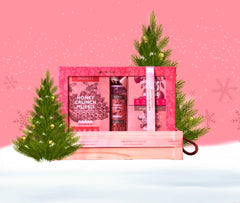 NOURISH ORGANICS Buy Christmas & New Year Assorted Gift Pack | Healthy Festive Snack Box