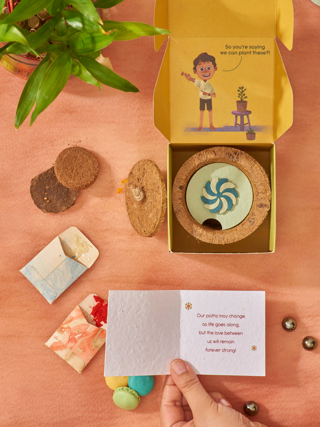 Plantables Wheely Wonka Rakhi Planting Kit