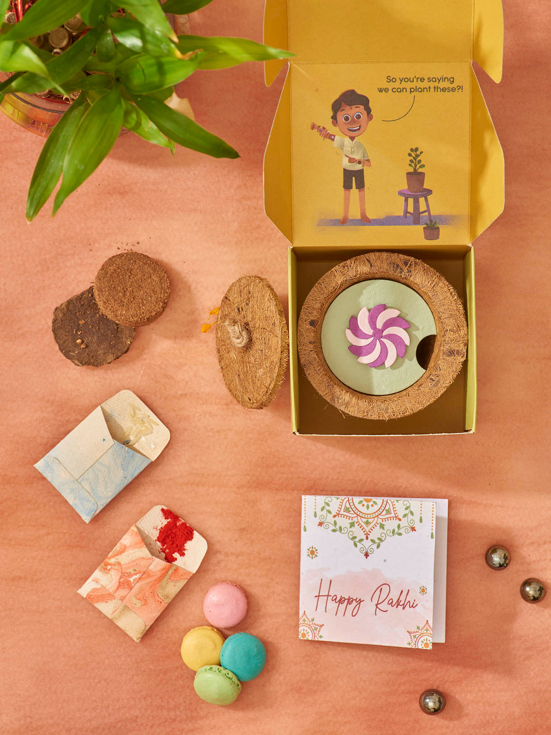 Plantables Wheely Wonka Rakhi Planting Kit